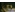 Не свято святые
